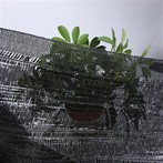 Shade Net