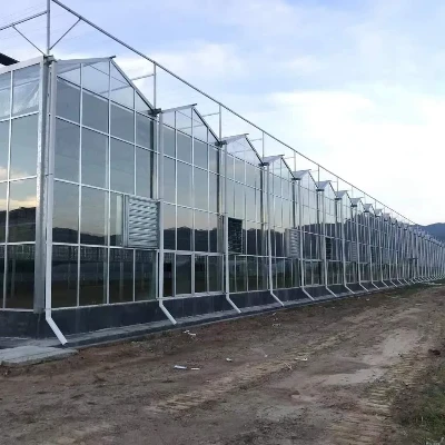 Kína venlo üveg üvegház a Közel -Kelet számára