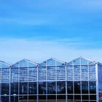 Venlo stílusú üvegház