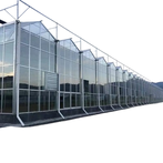 Venlo típusú üvegház